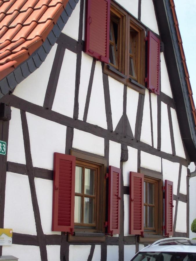 Ferienhaus Pfalzklause Billigheim-Ingenheim Экстерьер фото